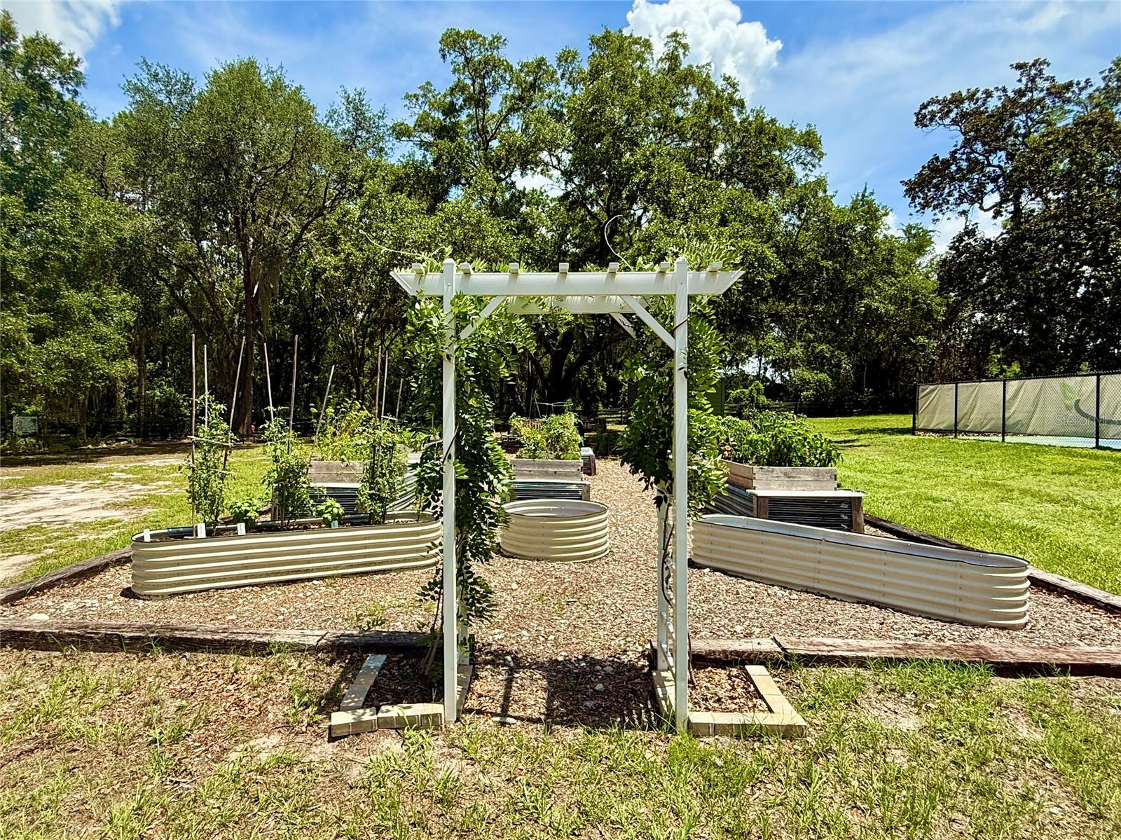 LAKESHORE AT LAKE ANDREW - Residential