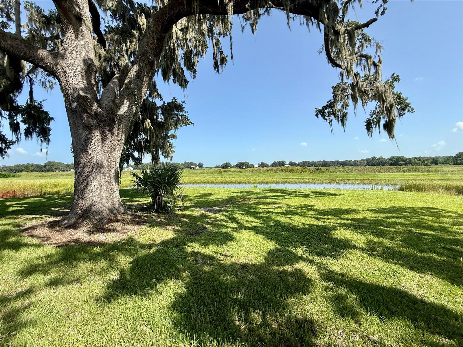 LAKESHORE AT LAKE ANDREW - Residential