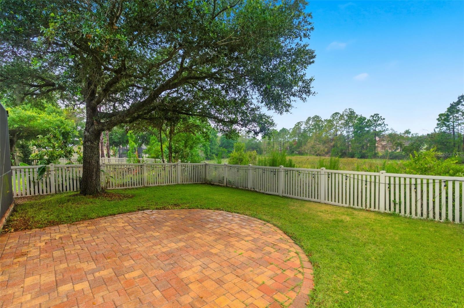 21347 MORNING MIST WAY