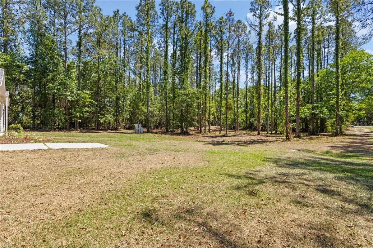 COUNTY LINE PINES - Residential