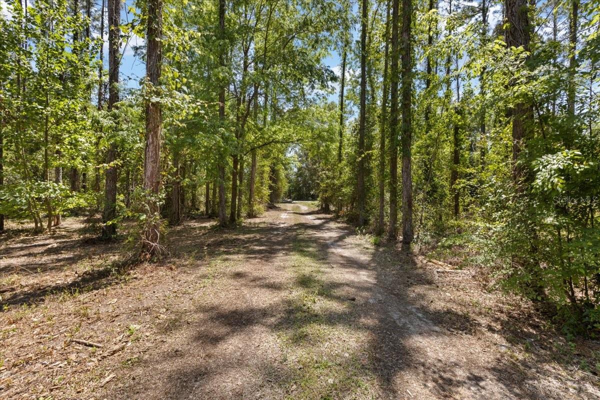 COUNTY LINE PINES - Residential