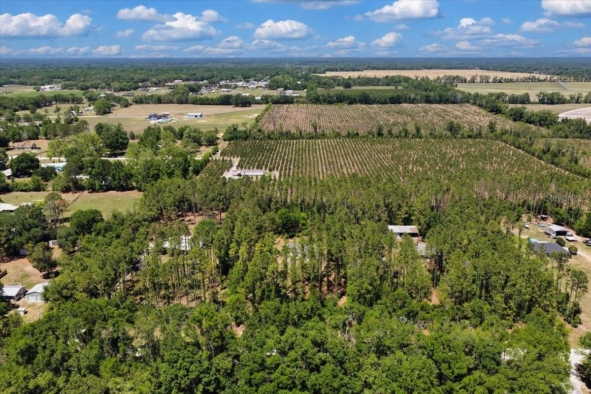 COUNTY LINE PINES - Residential