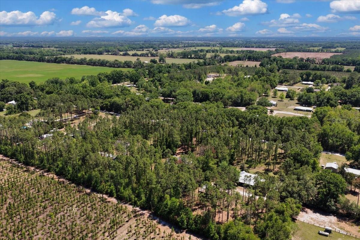 COUNTY LINE PINES - Residential