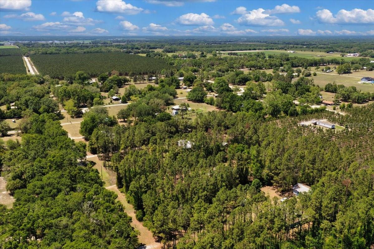 COUNTY LINE PINES - Residential