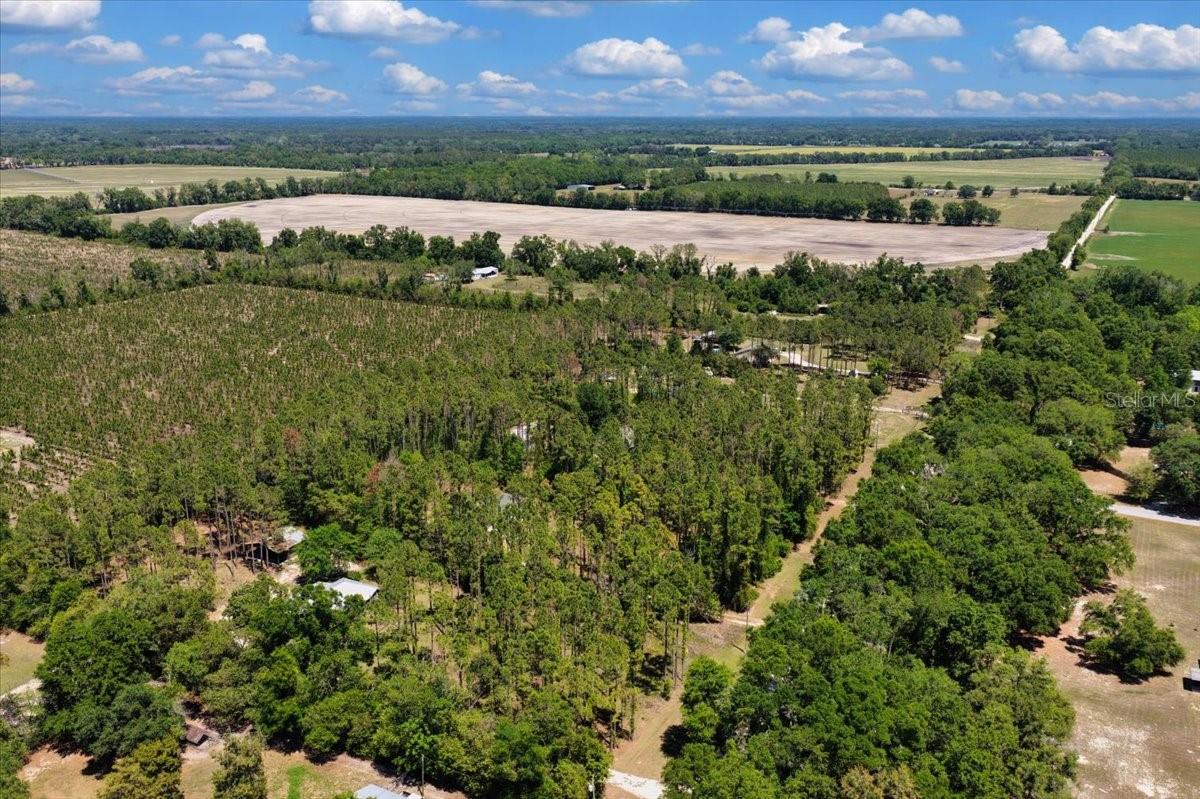 COUNTY LINE PINES - Residential