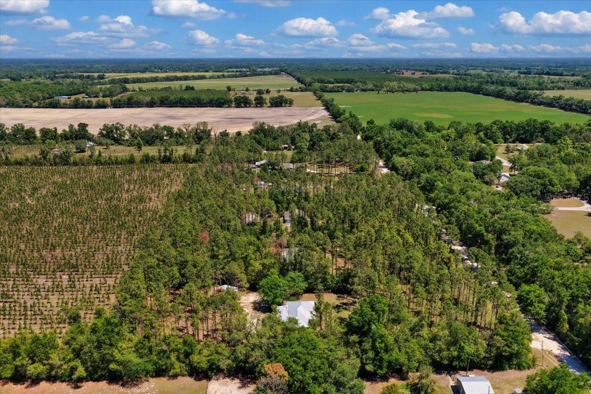 COUNTY LINE PINES - Residential