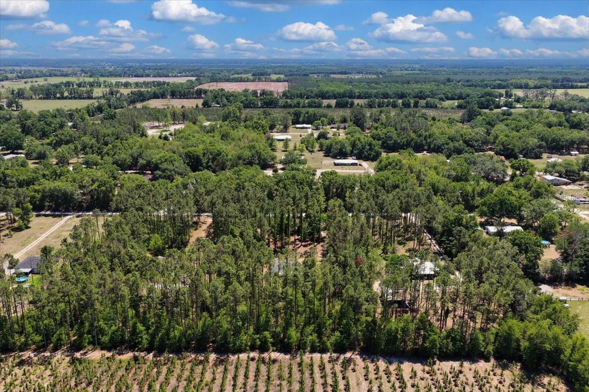 COUNTY LINE PINES - Residential