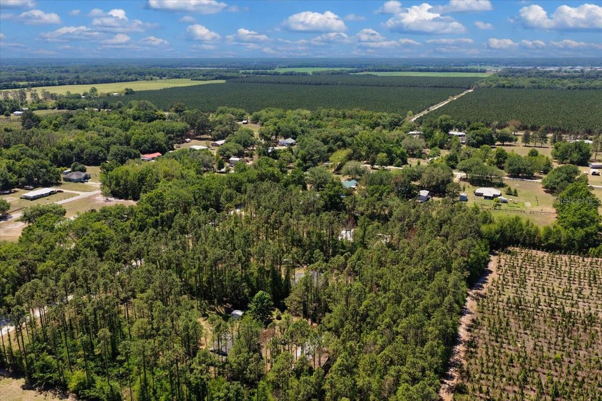 COUNTY LINE PINES - Residential