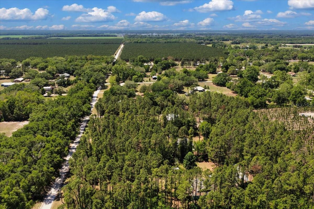 COUNTY LINE PINES - Residential