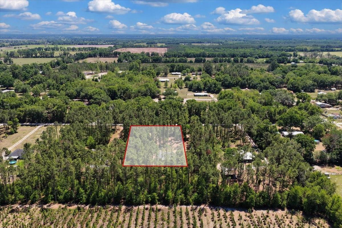 COUNTY LINE PINES - Residential