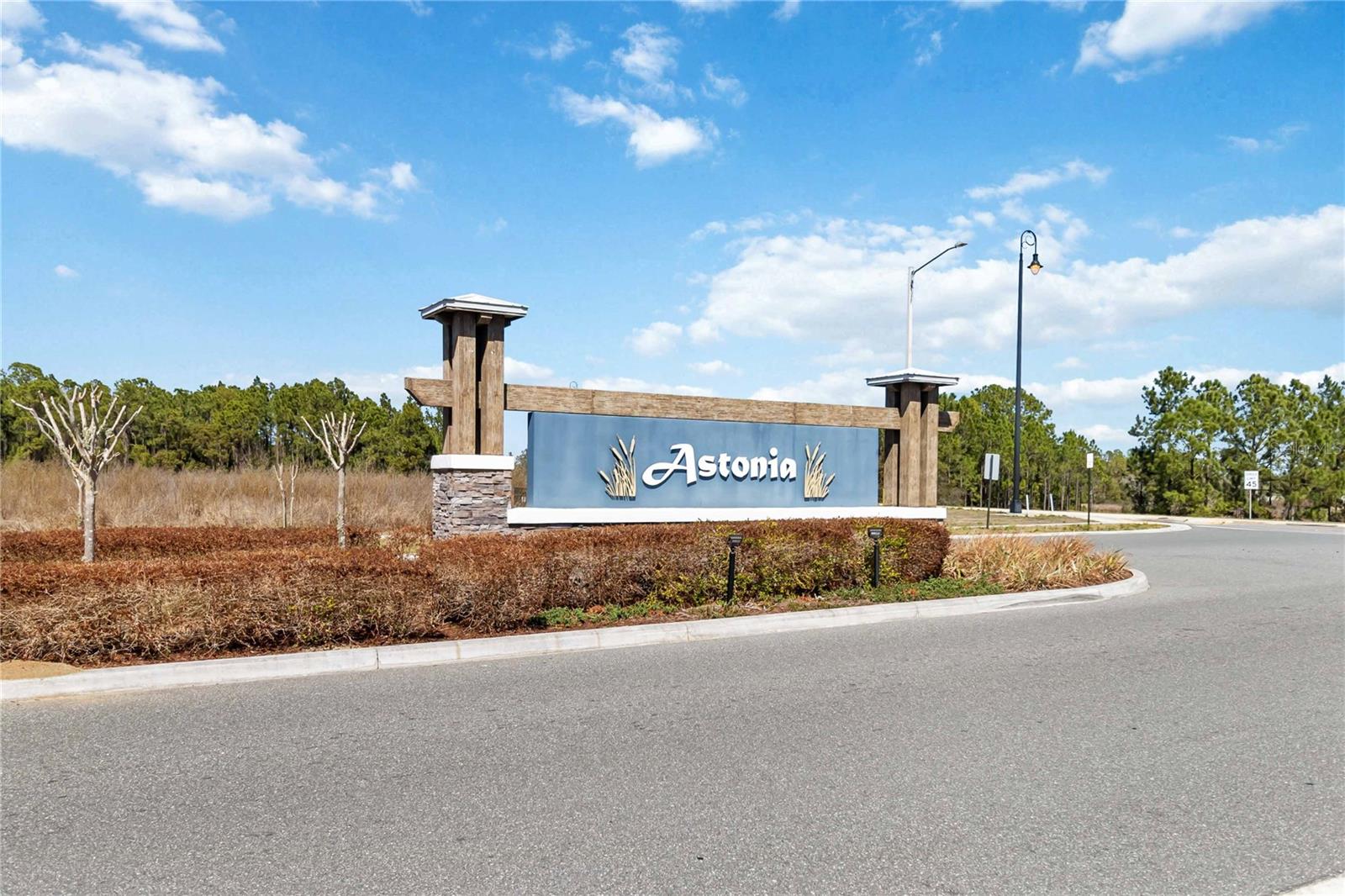 ASTONIA PH 2 & 3 - Residential