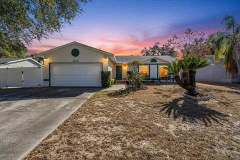 1215 EDGERTON DRIVE VALRICO FL 33594