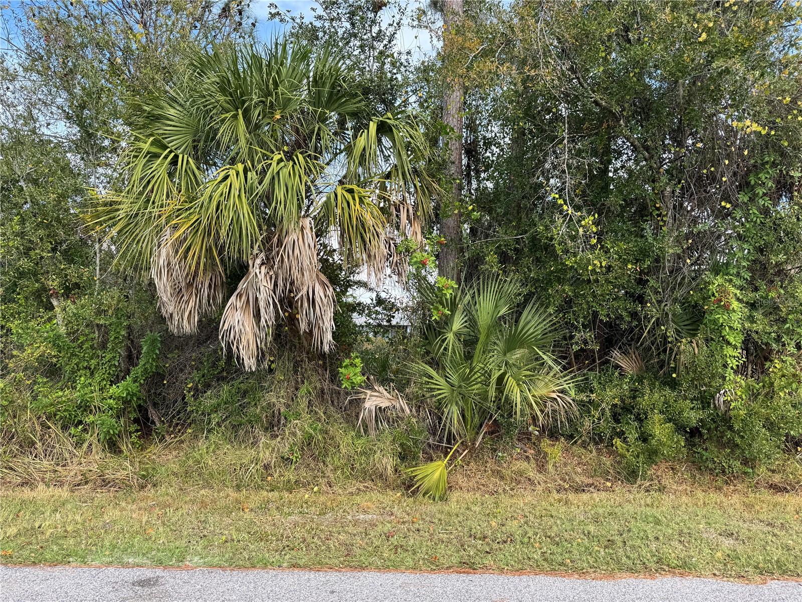 PORT CHARLOTTE SUB 05 - Land