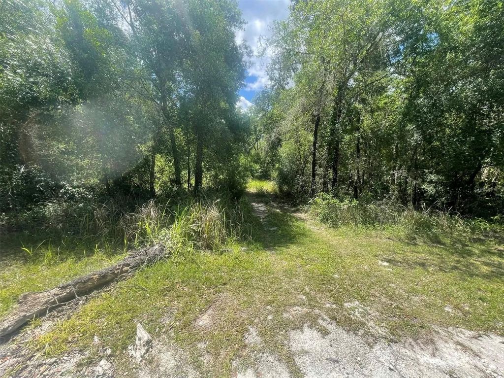 Photo of 0 Haas Drive, Webster, FL 33597 (MLS # A4691468)