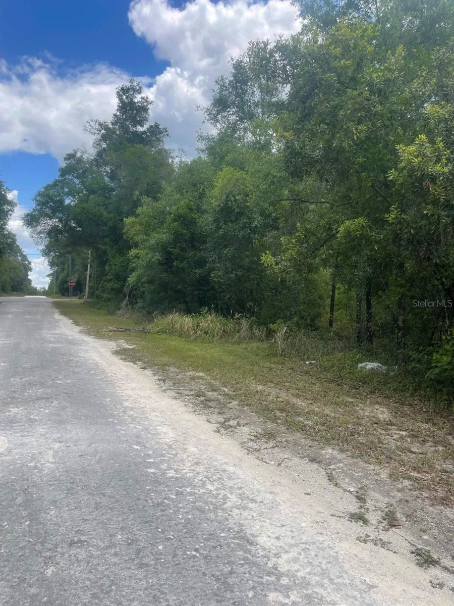 RIDGE MANOR ESTATE - Land