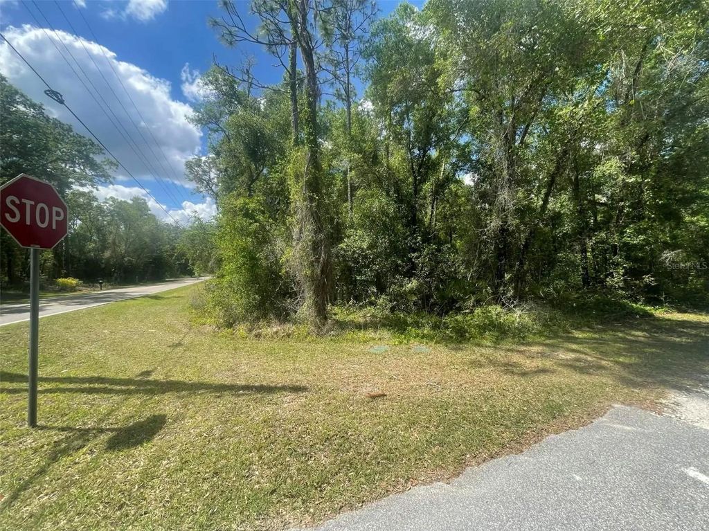 Photo of 0 Haas Drive, Webster, FL 33597 (MLS # A4691468)