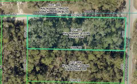 0 HAAS DRIVE WEBSTER FL 33597