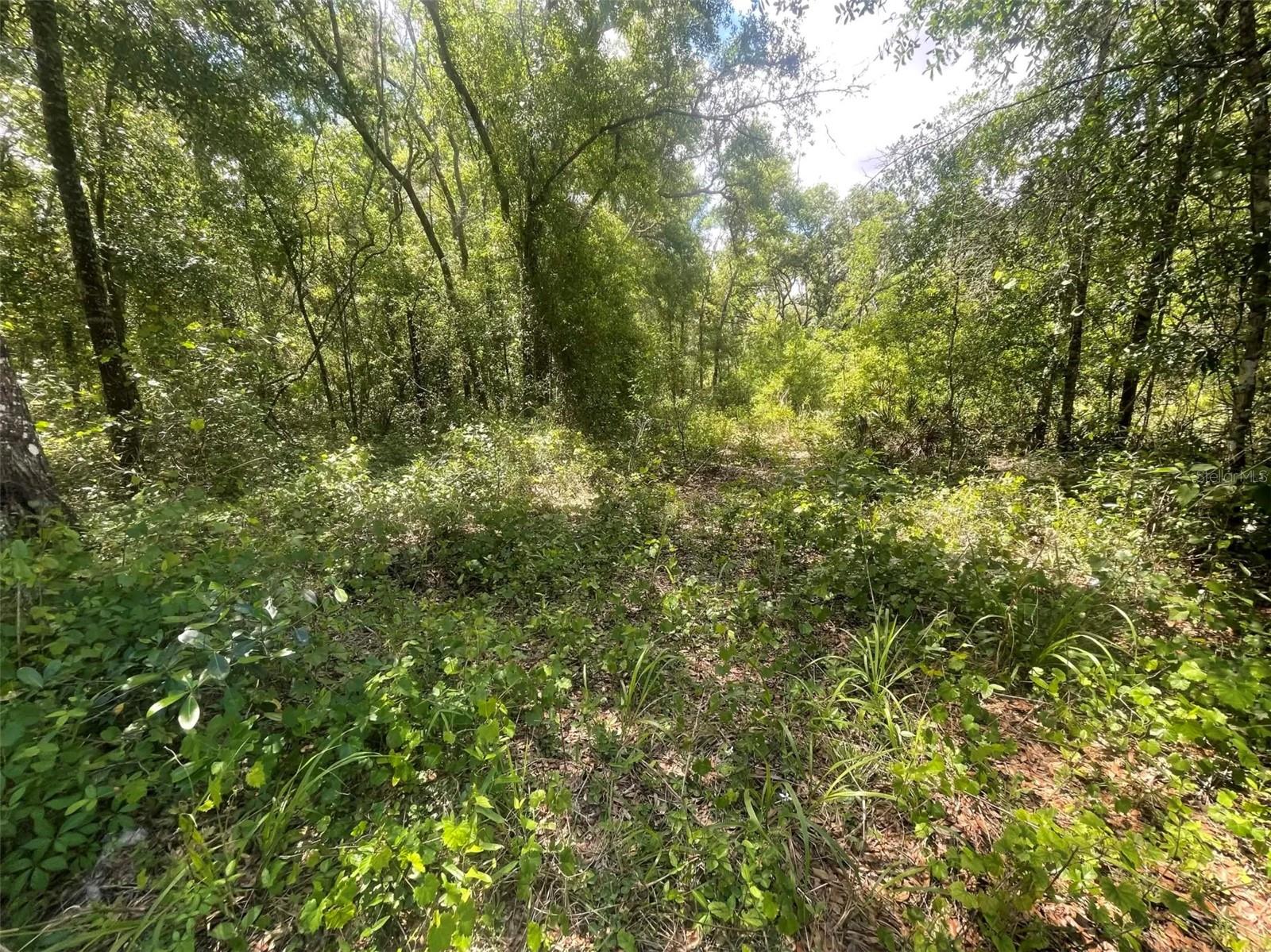 RIDGE MANOR ESTATE - Land