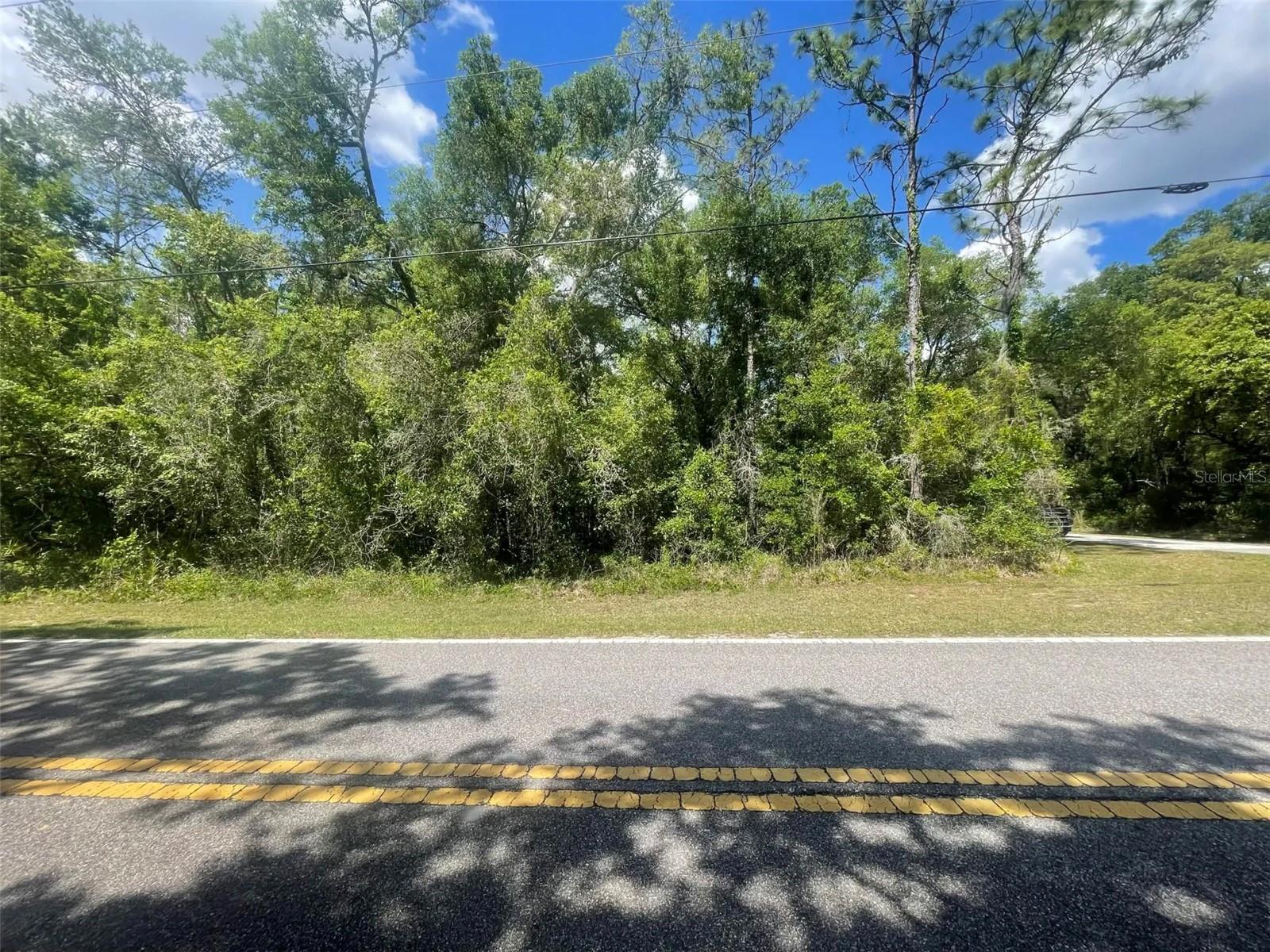 RIDGE MANOR ESTATE - Land