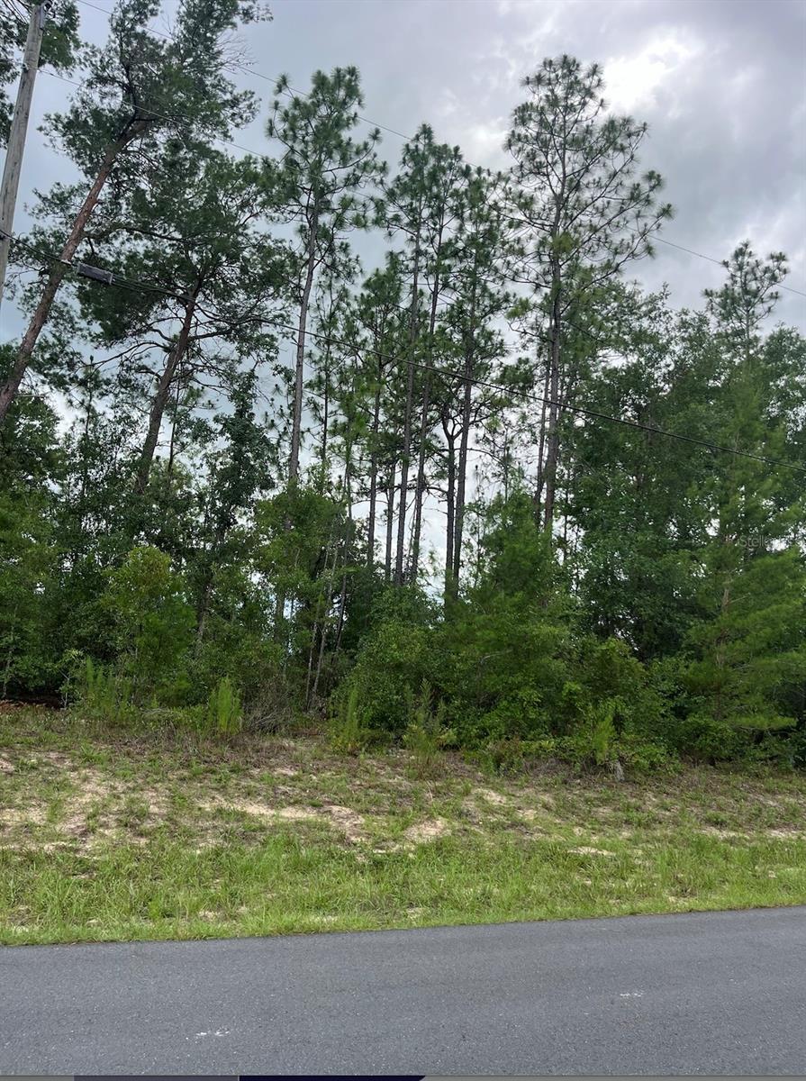 Prime 0.25-acre vacant lot in the growing Marion Oaks community of Ocala, FL. Zoned R1 and surrounded by new development, it's an ideal spot to build your custom single-family home in a fast-growing area.