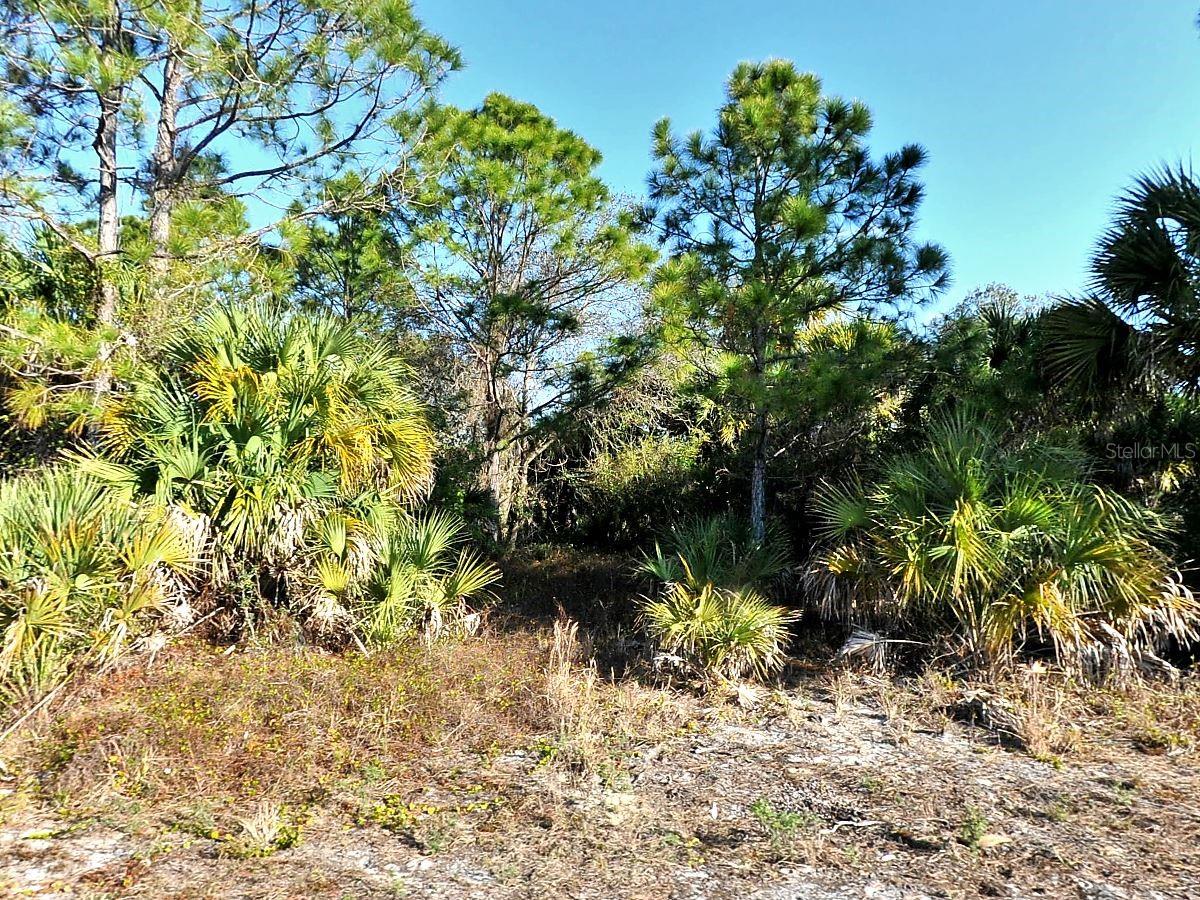 PORT CHARLOTTE SUB 44 - Land