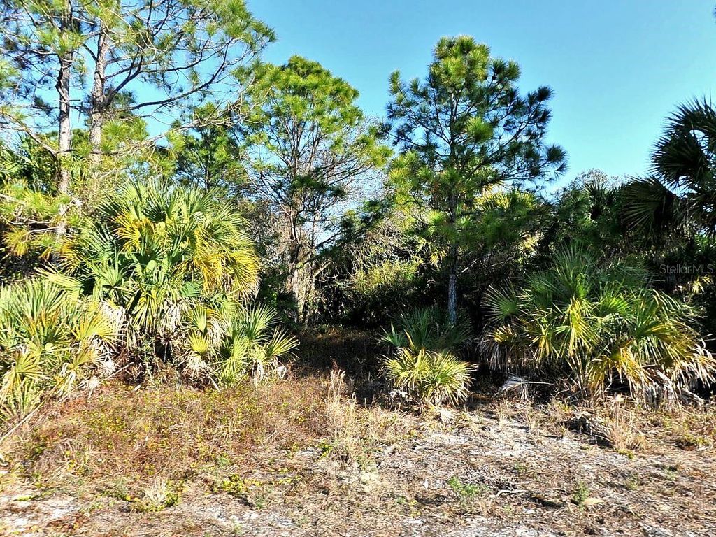 Photo of 3343 Vineyard Circle, North Port, FL 34288 (MLS # A4659340)