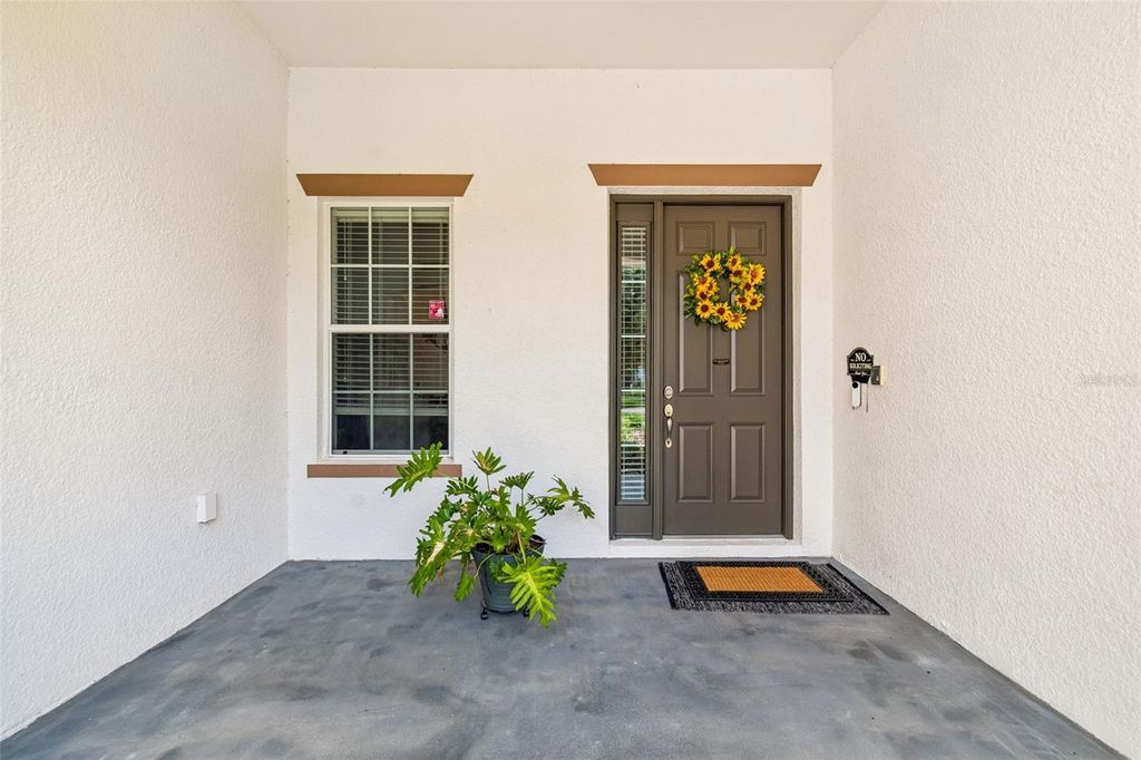 Photo of 10524 Mistflower Lane, Tampa, FL 33647 (MLS # A4697198)