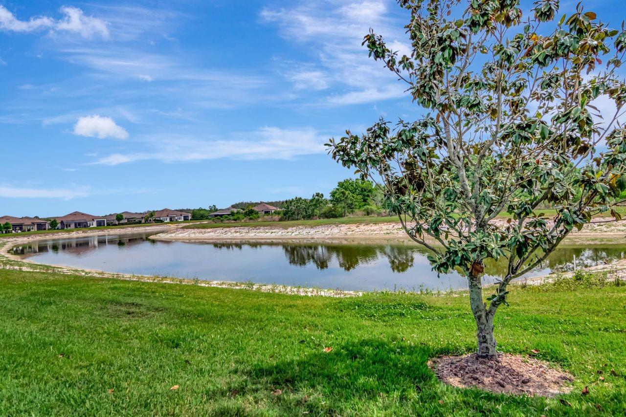 ESTANCIA PH 2A - Residential