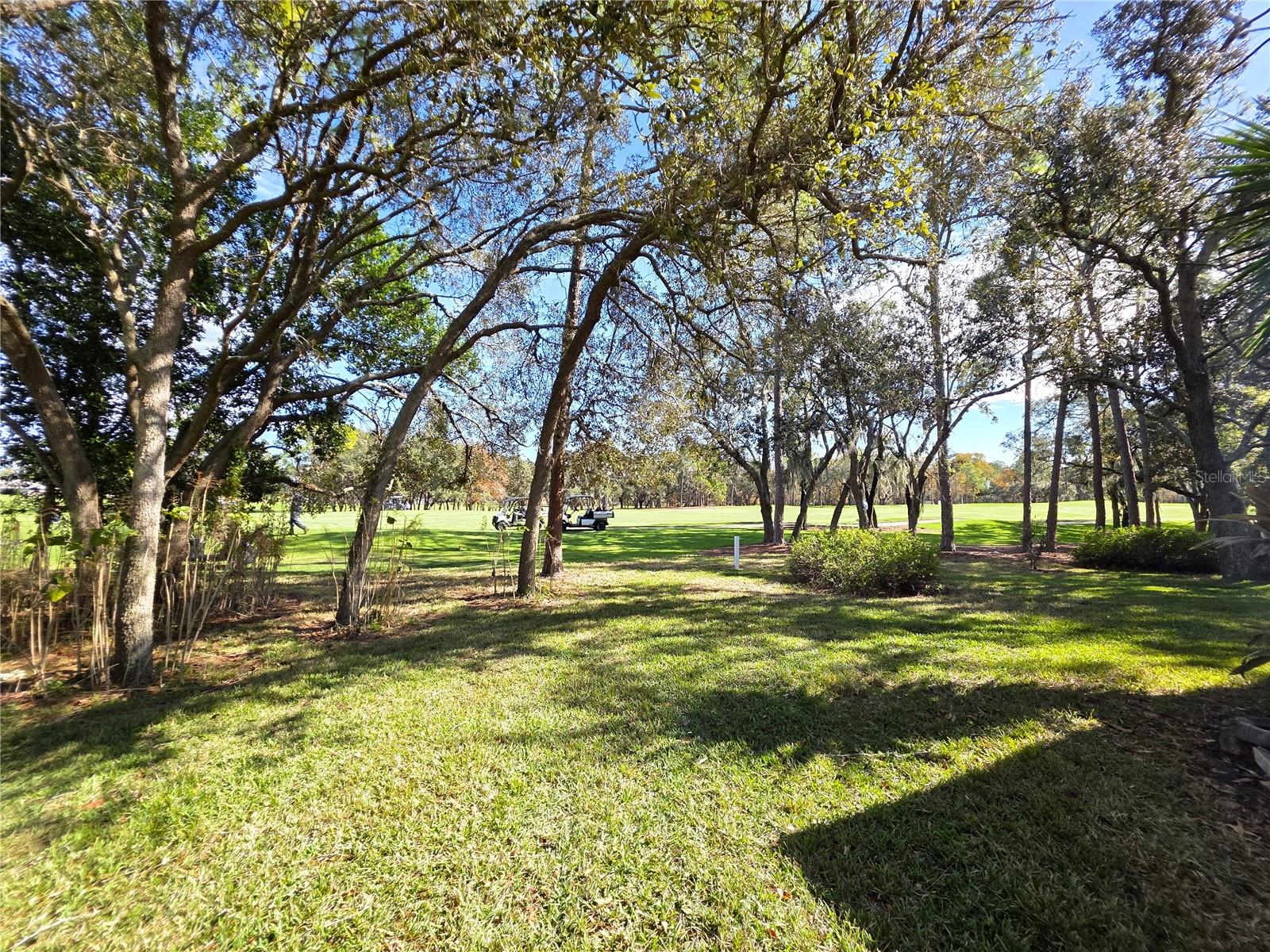 TIMBER PINES - Residential