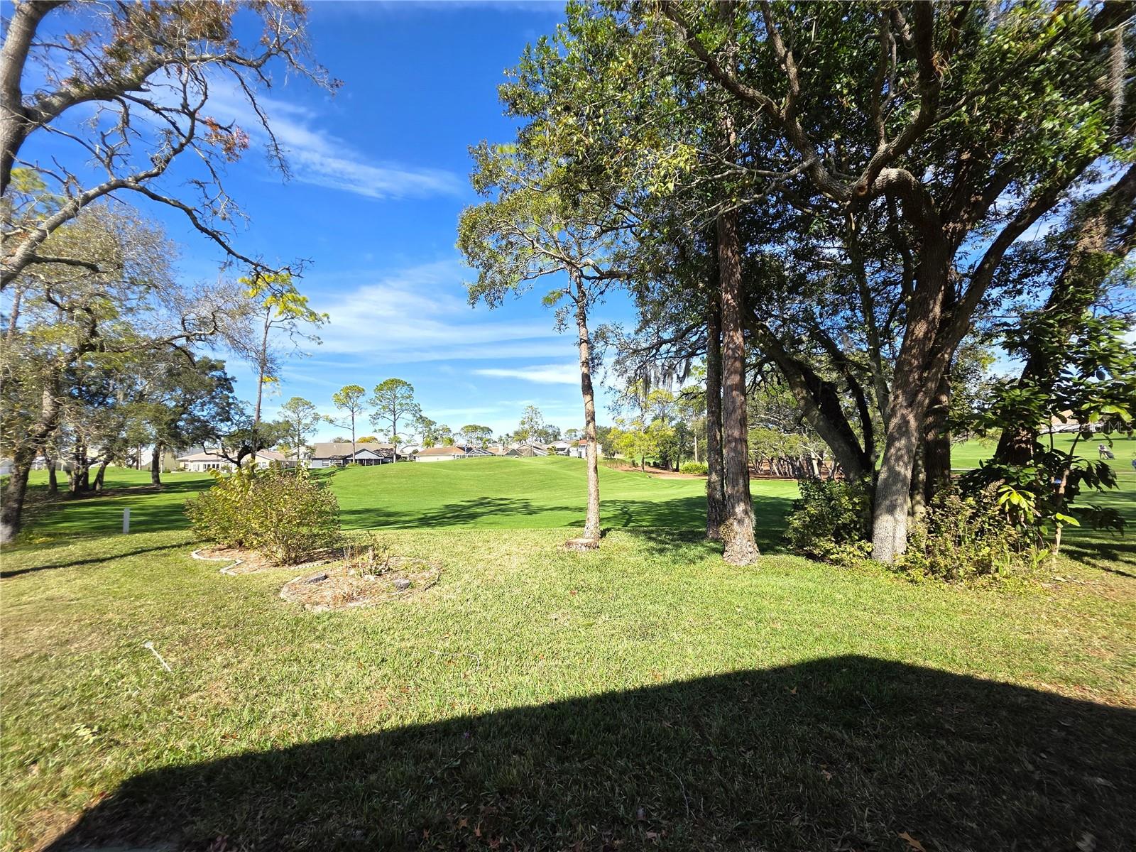 TIMBER PINES - Residential