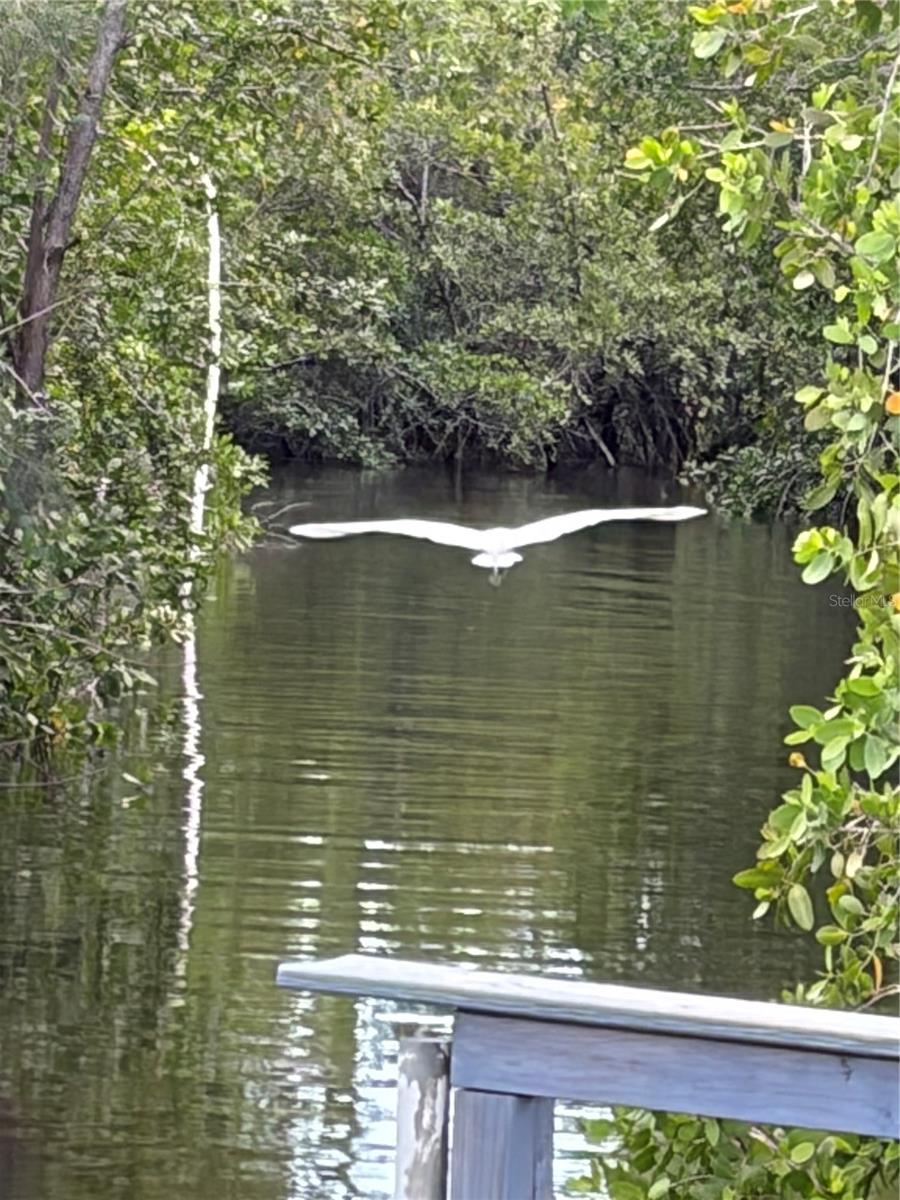 RIVER FOREST MHP - Residential