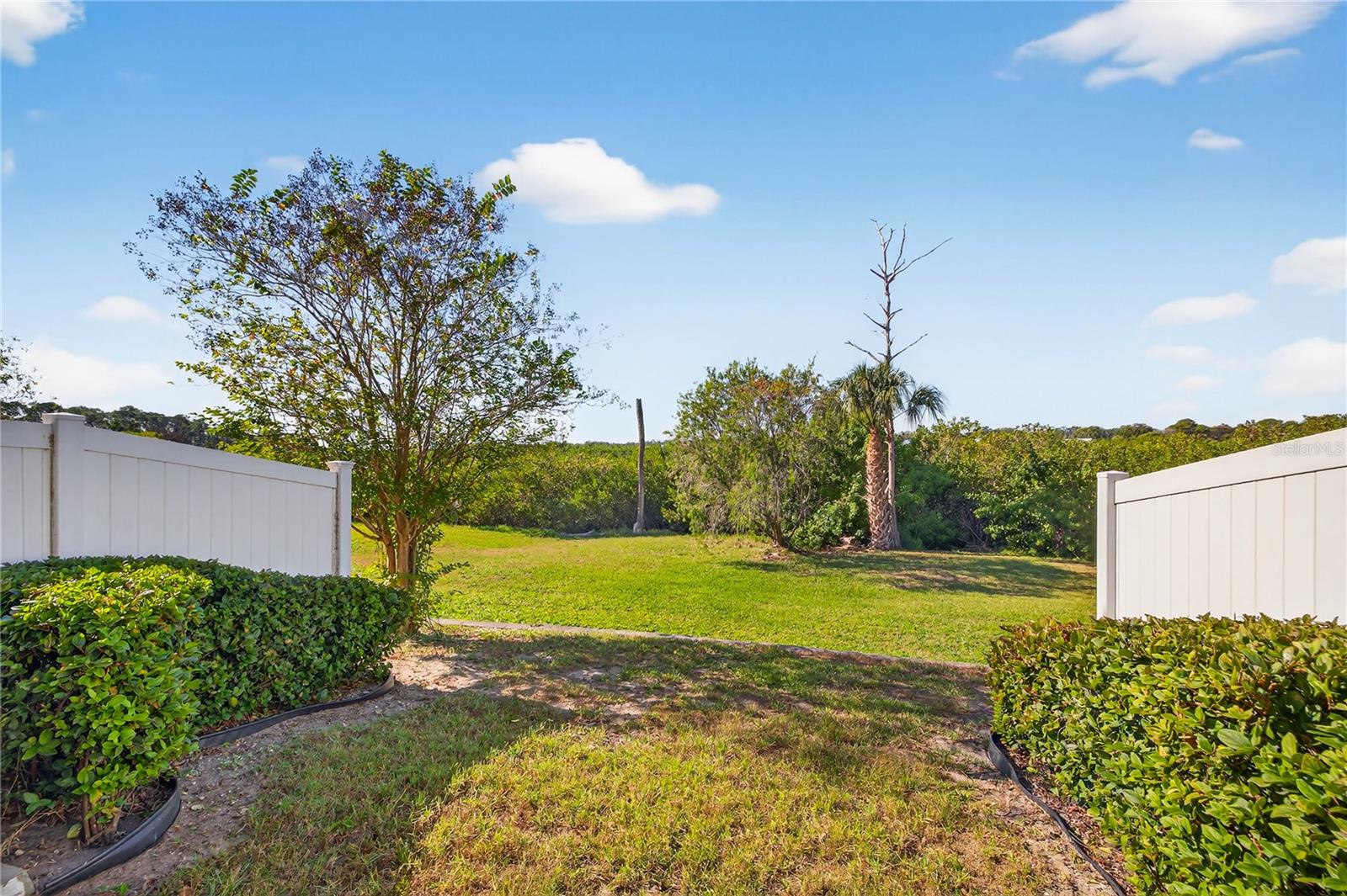 JACKSON SQUARE TWNHMS - Residential