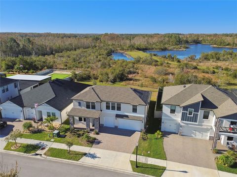 A home in LAND O LAKES