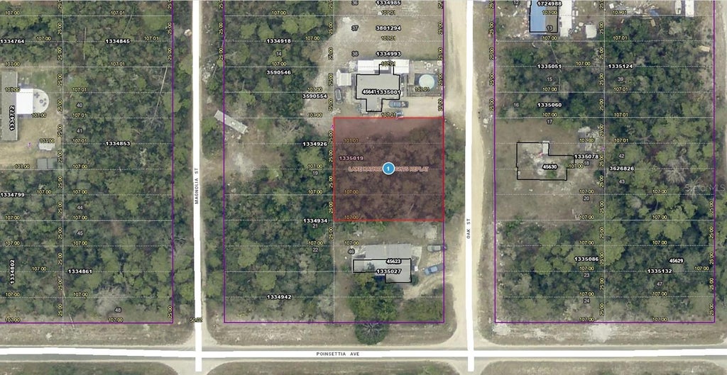 Photo of 14 Oak Street, Paisley, FL 32767 (MLS # A4698181)