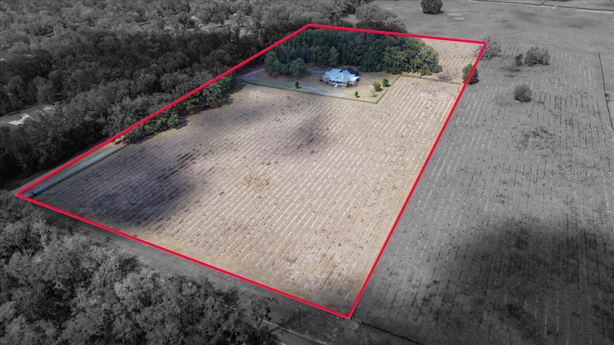 SPRINGSTEAD - Residential