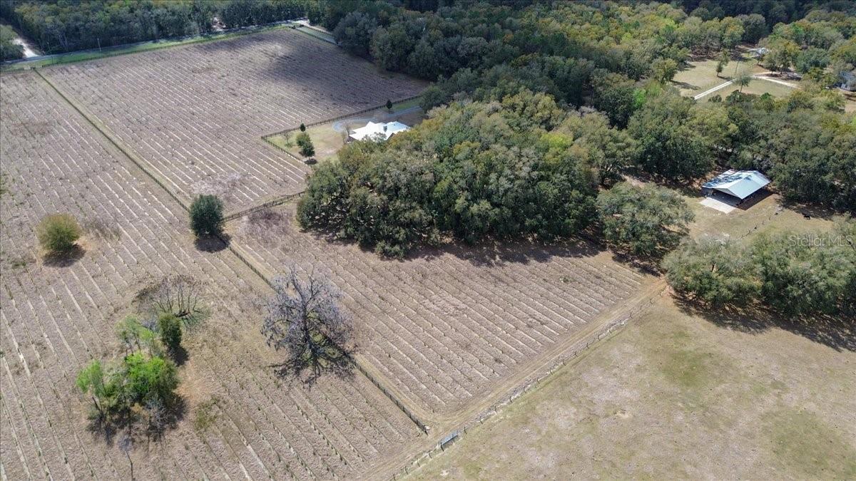 SPRINGSTEAD - Residential