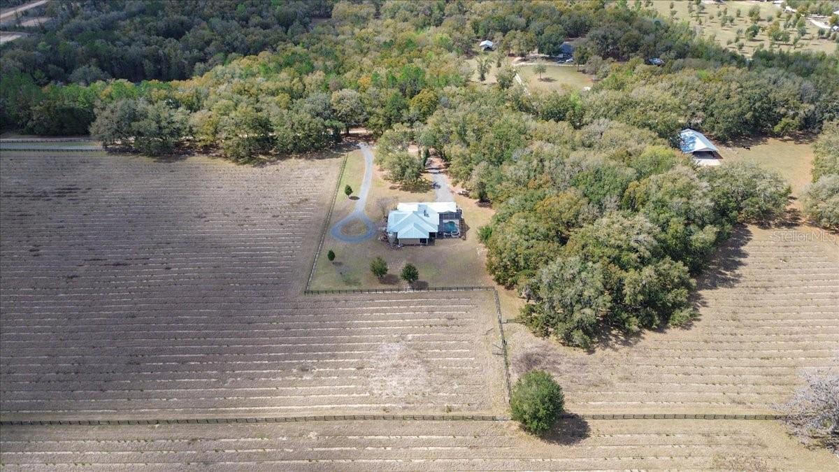 SPRINGSTEAD - Residential