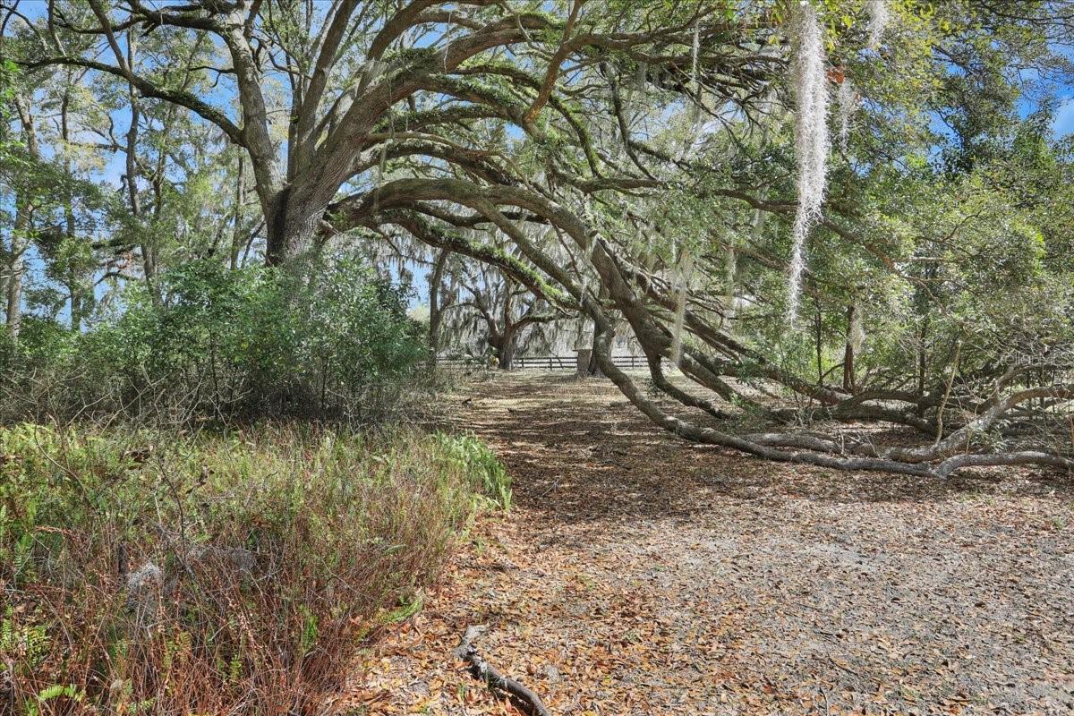 SPRINGSTEAD - Residential