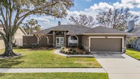 22848 STERLING MANOR LOOP LUTZ FL 33549