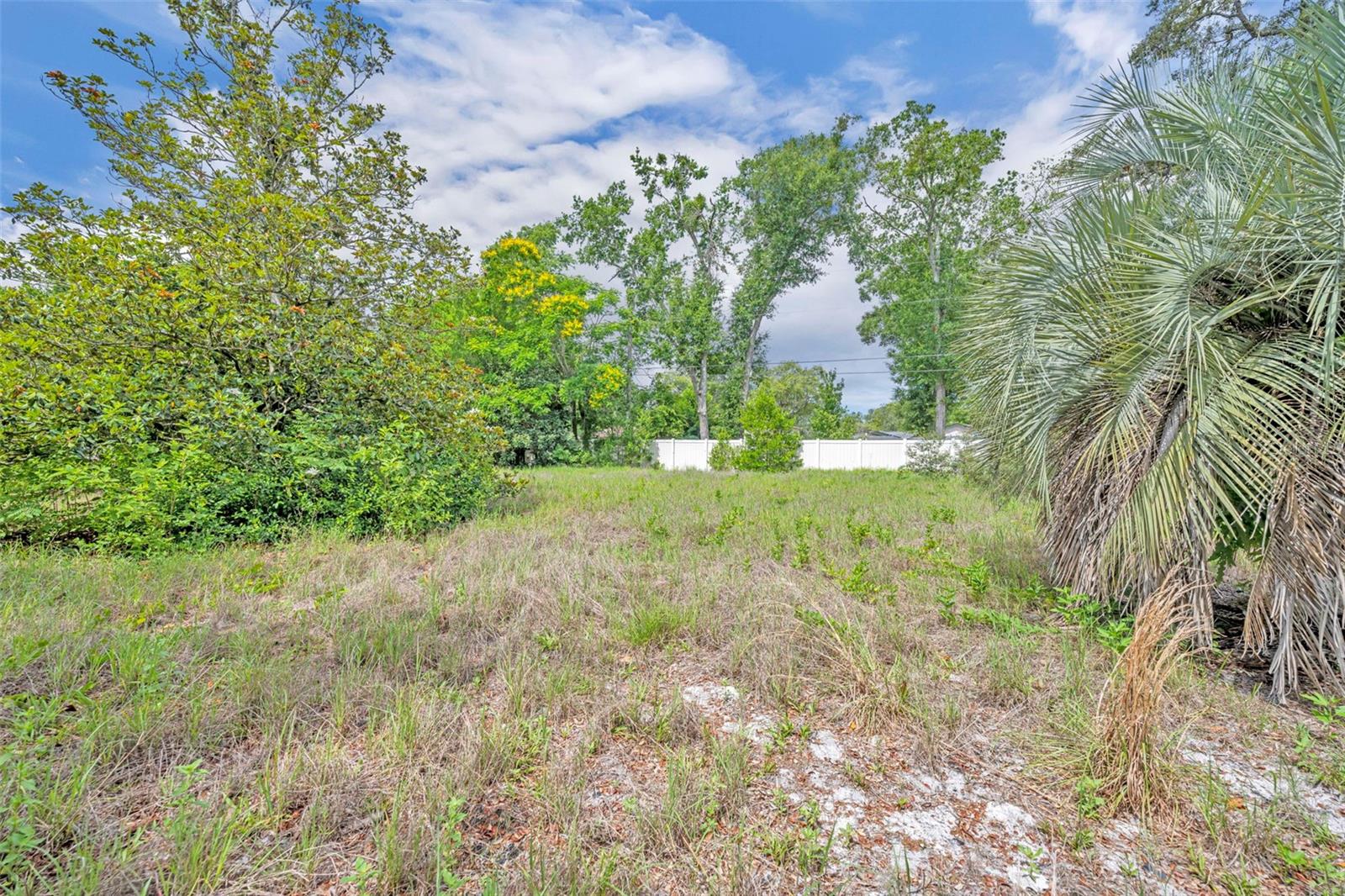1500 PAULA DRIVE