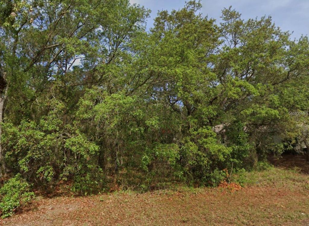 Photo of 4 Honeysuckle Court N, Homosassa, FL 34446 (MLS # O6404492)