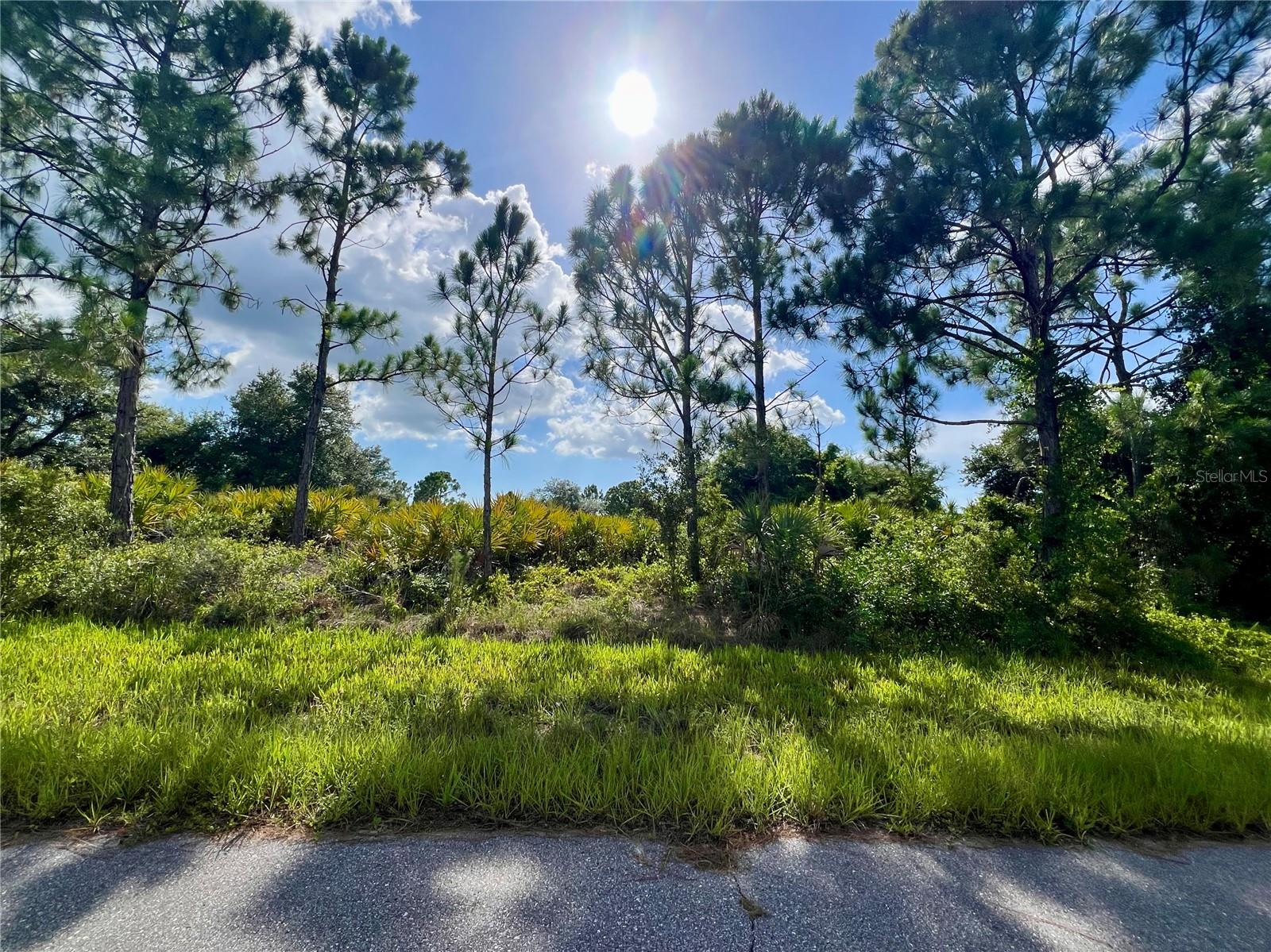 Very nice lot in a quiet area of NW Port Charlotte.