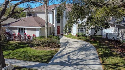 A home in TAMPA