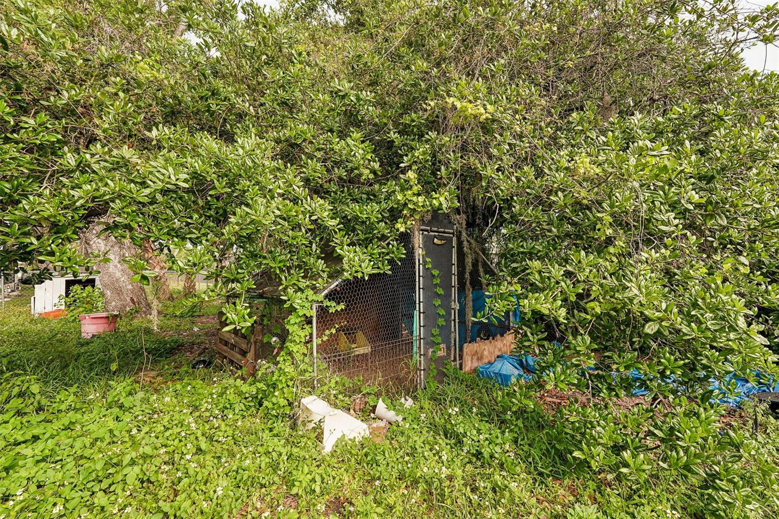 PORT CHARLOTTE SEC 008 - Residential