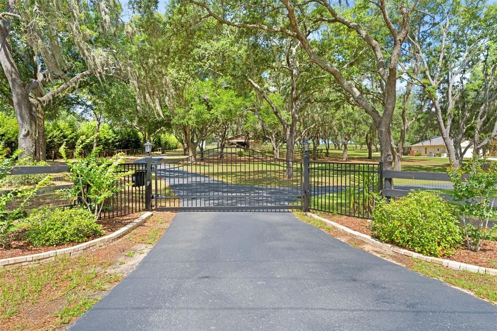 Photo of 19509 Paso Fino Way, Dade City, FL 33523 (MLS # W7886224)