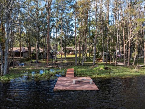 A home in LAND O LAKES