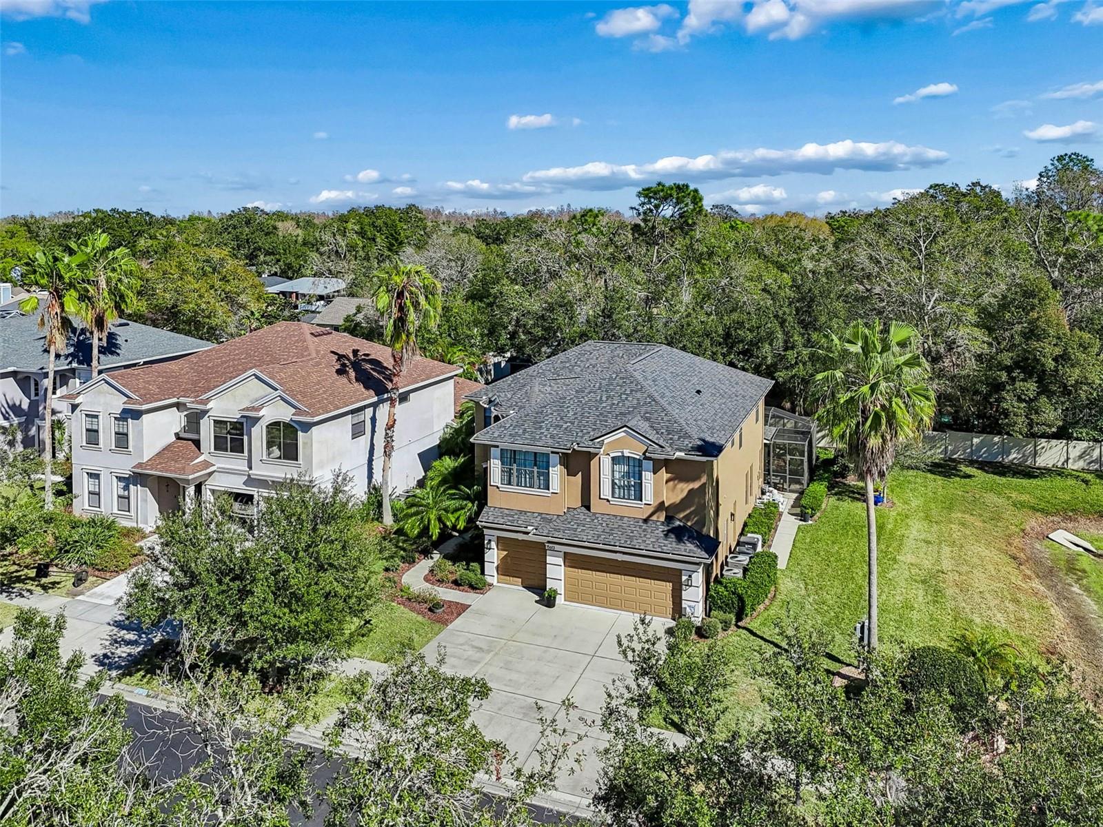 15613 N HIMES AVENUE