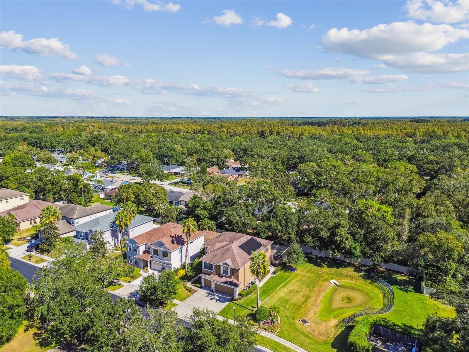 15613 N HIMES AVENUE