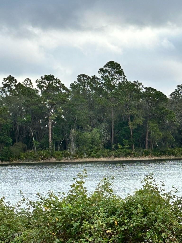 Discover the perfect canvas for your dream lakeside retreat on this expansive 0.28-acre lot, boasting an impressive 70 feet of pristine lake frontage along a serene 17-acre clear lake. With no public access, this exclusive setting ensures unparalleled privacy and tranquility, allowing you to fully immerse yourself in the natural beauty that surrounds you. Imagine waking up to panoramic water views, enjoying peaceful mornings, and creating lasting memories in your own secluded paradise. This unique opportunity offers the ideal blend of seclusion and convenience, providing a rare chance to build a custom home tailored to your vision in an idyllic lakeside setting.