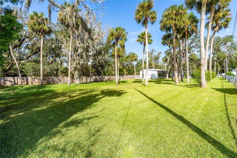 A home in NEW SMYRNA BEACH